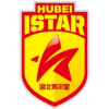 湖北青年星U15 logo